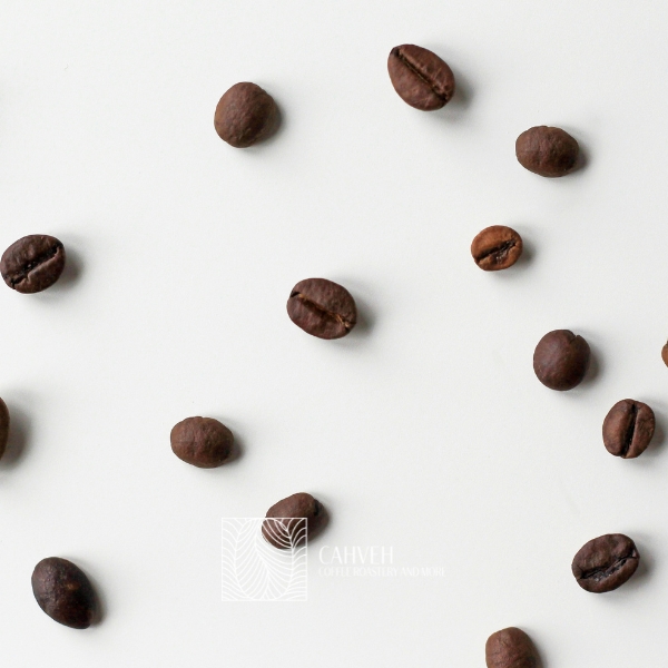 راهنمای جامع خرید و نگهداری قهوه: انتخاب، نگهداری و مصرف بهترین قهوه