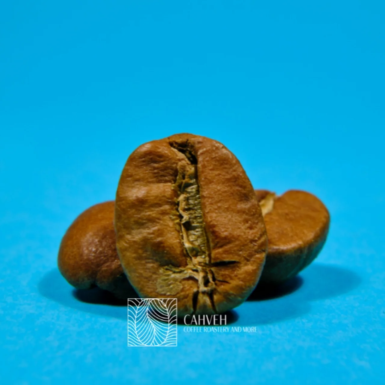 چگونه بهترین قهوه را برای خود انتخاب کنید؟ راهنمای جامع برای خرید قهوه
